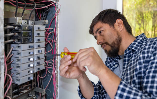 Best Local Electrician Companies  in Talahi Island, GA